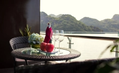 Stellar of the Seas Cruise