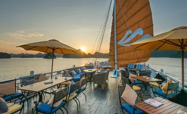 Paradise Sails Cruise - Halong Bay 3 Days 2 Nights
